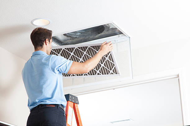 Best Air Quality Test  in Highland Acres, DE